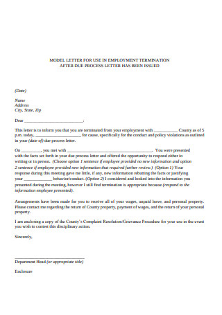 Employment Termination Letter