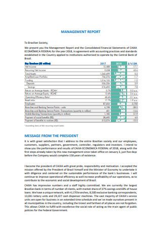 Financial Management Report Sample