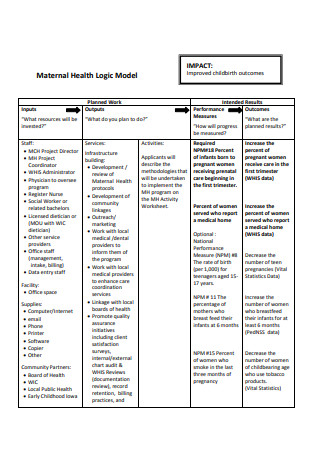 Health Logic Model