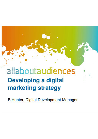 Online Marketing Strategy Development Guide Sample