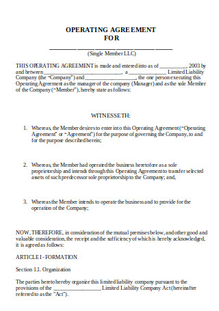 Operating Agreement for LLC