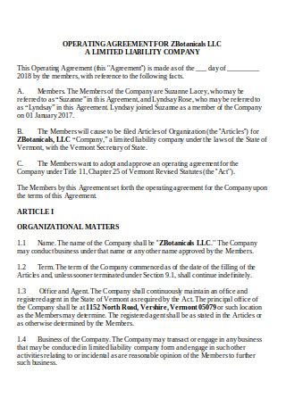 Operating Agreement in DOC