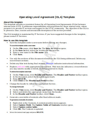 Operating Level Agreement