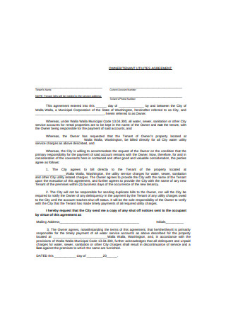 Owner Agreement Format