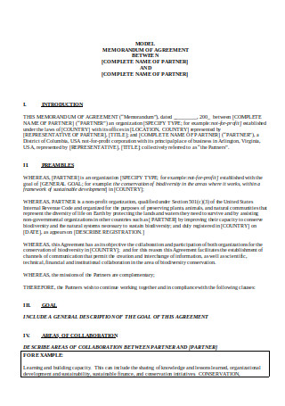 29  SAMPLE Memorandum of Agreement Templates in PDF MS Word