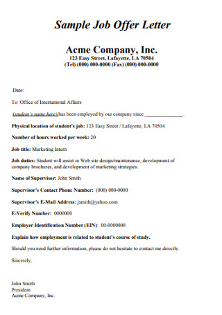 Sample Company Job Offer Letter 