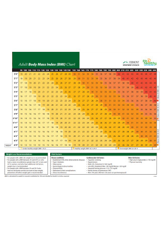 Adult Body Mass Index Chart
