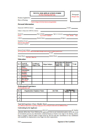 Basic Job Application Form Format