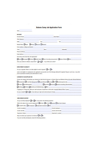 Basic Job Application Form Sample