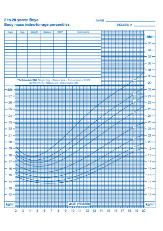 Boys BMI for age Percentiles Chart Template