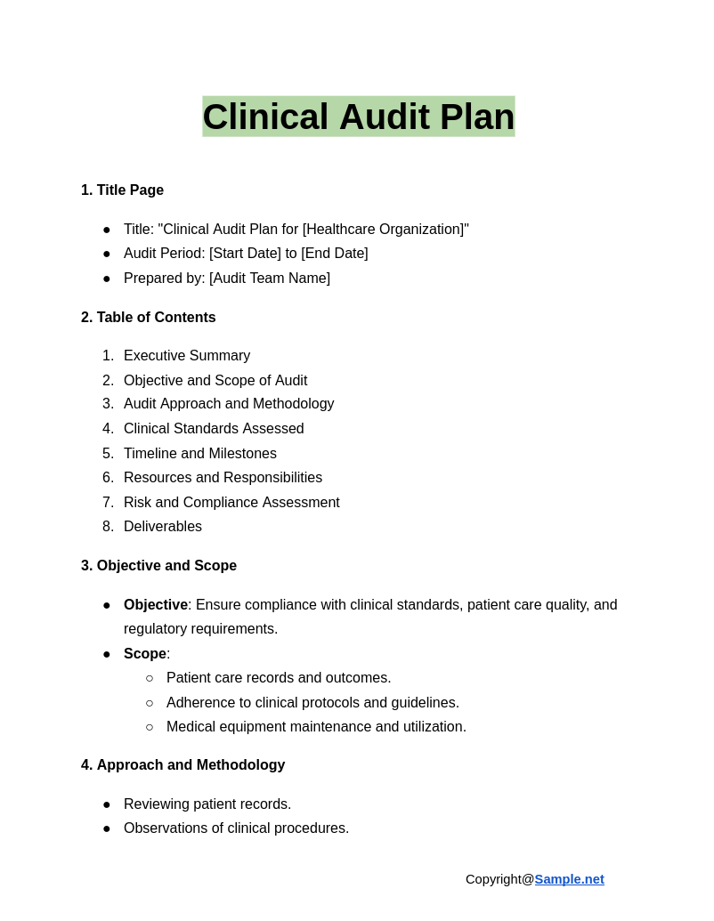 Clinical Audit Plan Google Docs 12 27 2024 04 39 PM