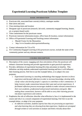 Experiential Learning Practicum Syllabus Template