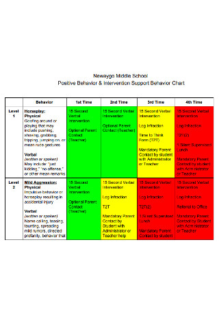 Intervention Support Behavior Chart