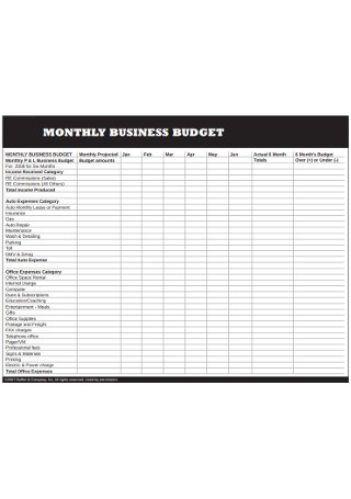 Monthly Business Budget