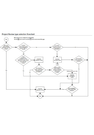 Project Review Type Selection Flowchart