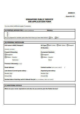 Public Service Job Application Form Example