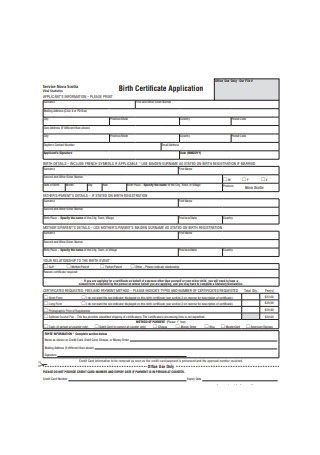 Sample Birth Certificate Application Format