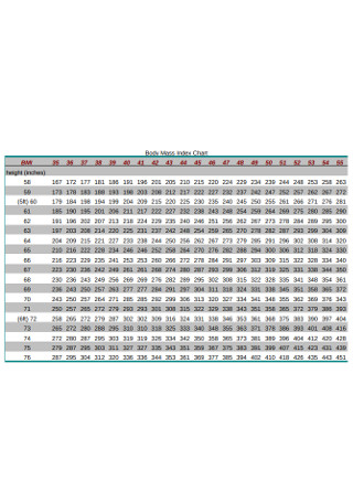 Standard Body Mass Index Chart