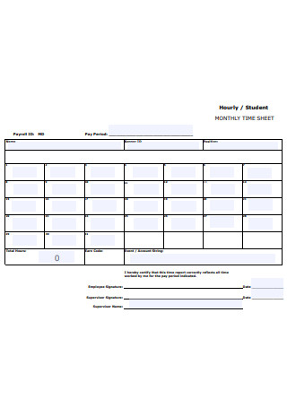 Student Monthly Timesheet Format