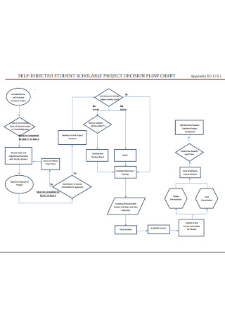 Student Scholary Project Flowchart Template
