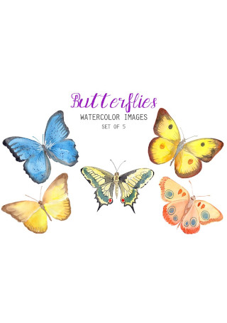 Watercolor Butterflies Clipart