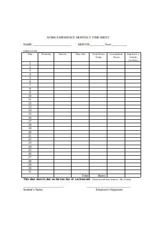 Work Experience Monthly Timesheet