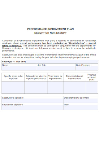 Performance Improvement Exempt and Non Exempt Plan