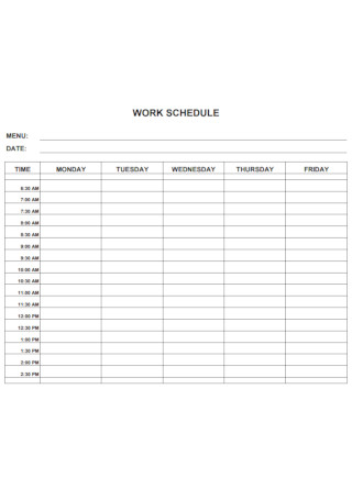 Standard Daily Work Schedule