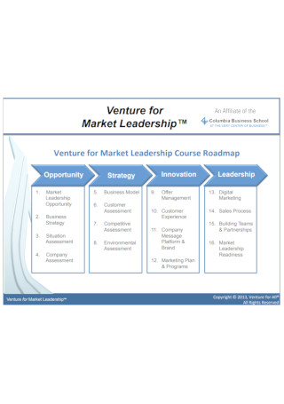 Venture for Market Leadership Course Roadmap