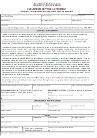 Volunteer Terms and Service Agreement Template