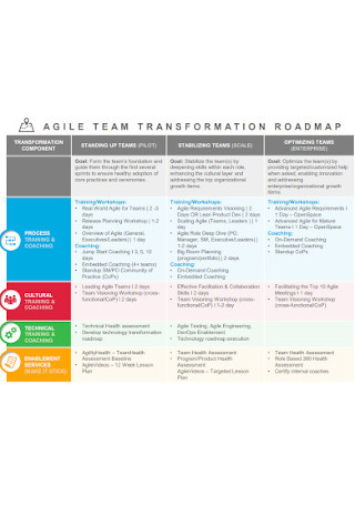 Agile Team Transportation Roadmap 