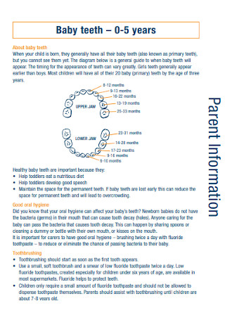 Baby Parents Information Teeth Chart Template