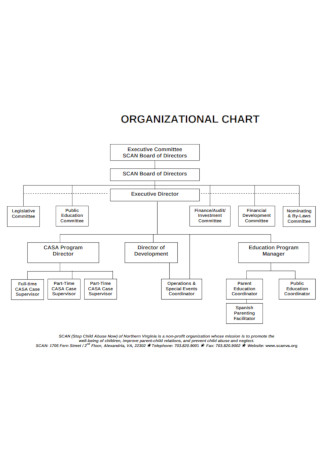 Non profit Executive Committee Organizational Chart 