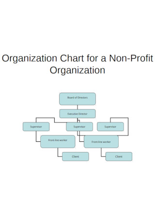 Organization Chart for a Non Profit Template