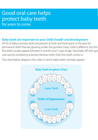 Simple Baby Teeth Chart Template