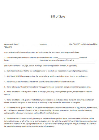 Standard Bill of Sale Contract Template