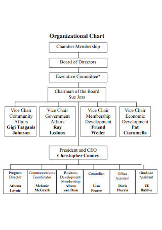 Basic Business Organizational Chart 