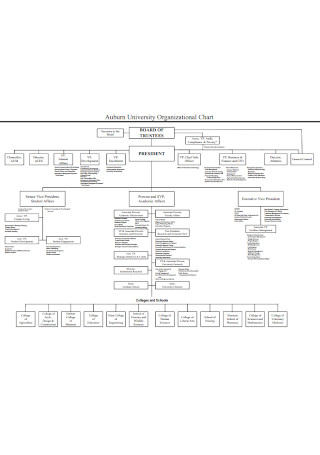 Basic University Organizational Chart