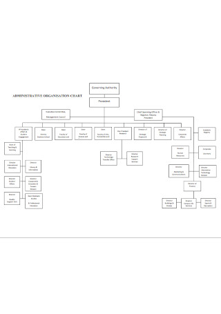 Business Adminstration Organizational Chart