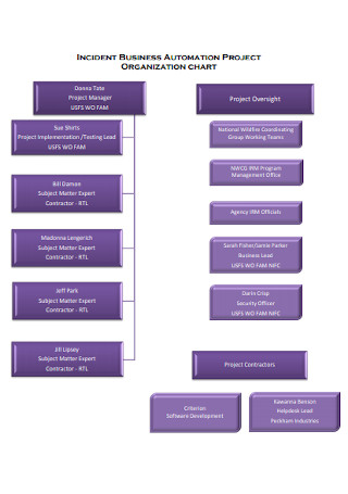 Business Automation Project Organizational Chart