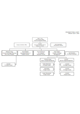 Business Busget Organization Chart