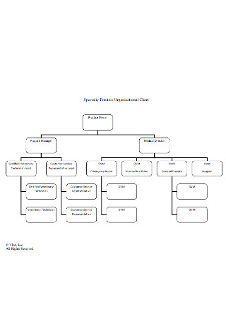 Business Practice Organizational Chart 