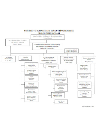 Business and Accounting Organization Chart