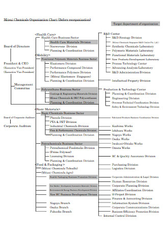 Chemical Business Organization Chart