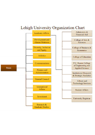 College of Business Organization Chart