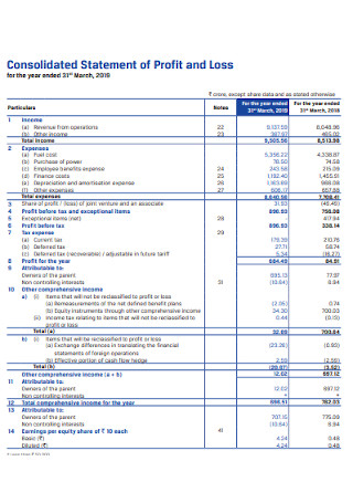 Consolidated Statement of Profit and Loss