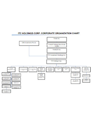 Corporate Organizational Chart Format