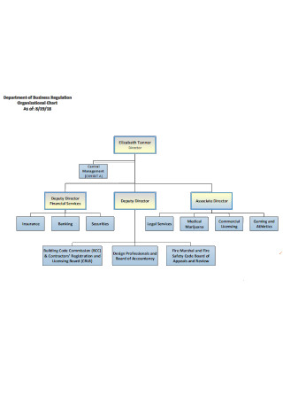 Department of Business Regulation Organizational Chart