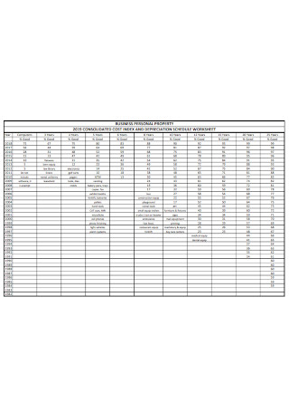 Depreciation Schedule Worksheet Template