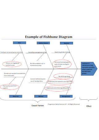 Example of Fishbone Diagram